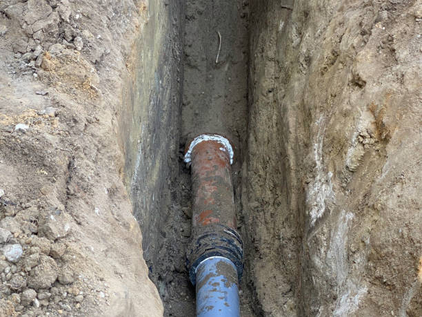 Best Flood damage cleanup  in Danville, KY