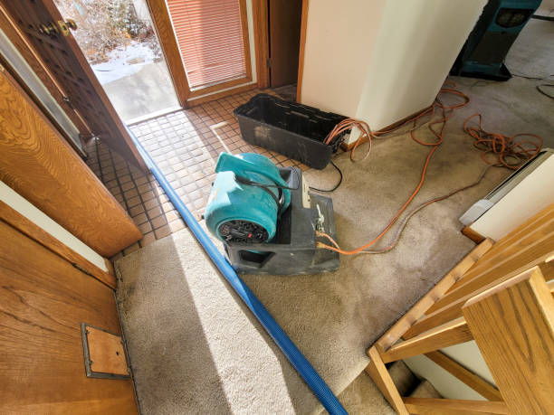Best Basement water damage restoration  in Danville, KY