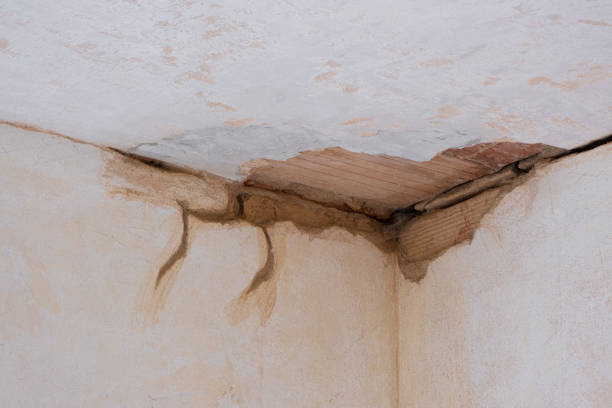 Best 24-hour water damage restoration  in Danville, KY
