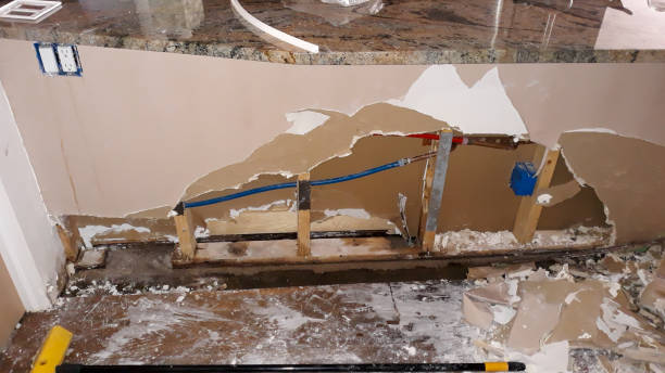 Best Water damage restoration near me  in Danville, KY