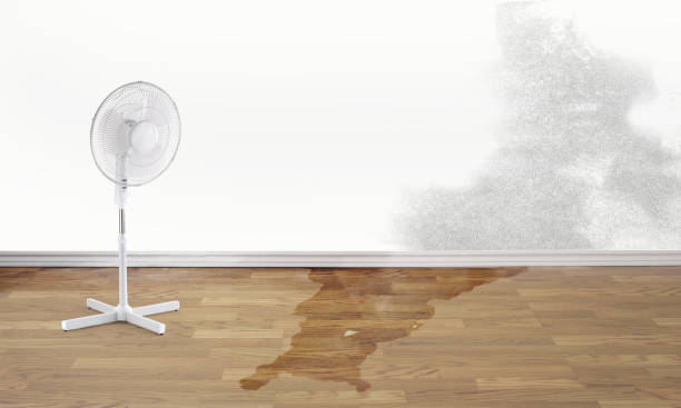 Best Water damage restoration near me  in Danville, KY