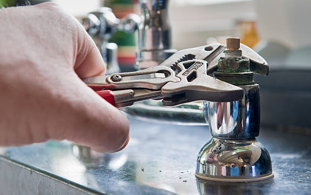 Best Flood restoration services  in Danville, KY