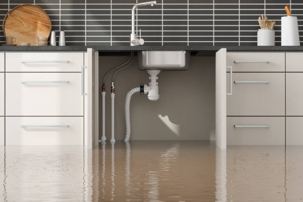 Best 24/7 water damage repair  in Danville, KY