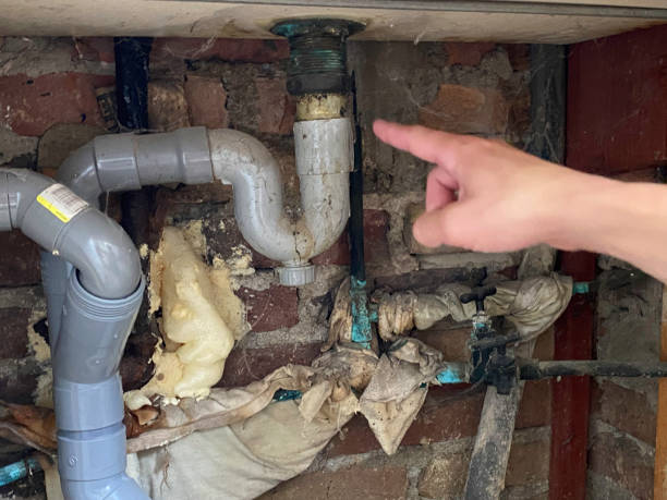 Best Water damage mitigation services  in Danville, KY