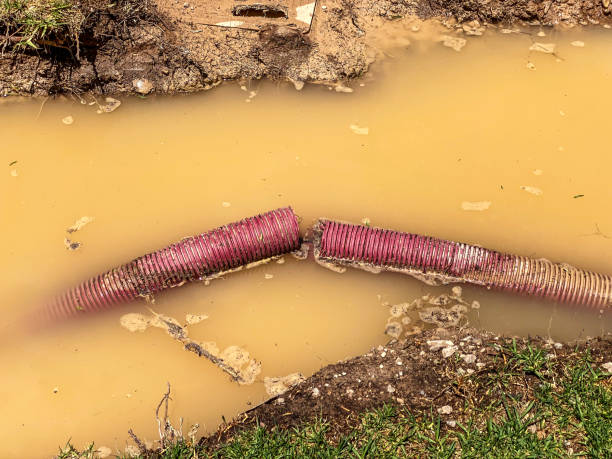 Best Local water damage restoration  in Danville, KY