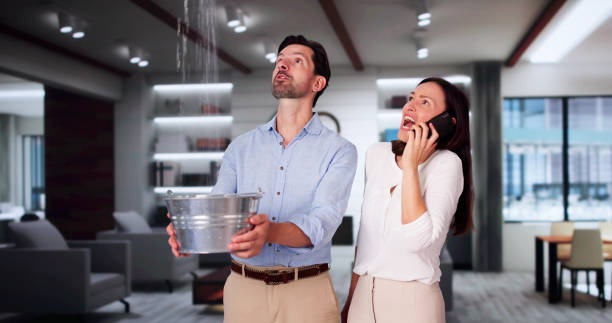 Best Water damage contractors near me  in Danville, KY