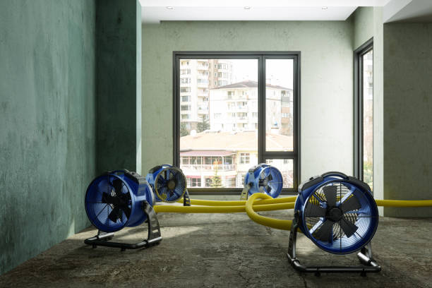 Reliable KY Water damage restoration Solutions